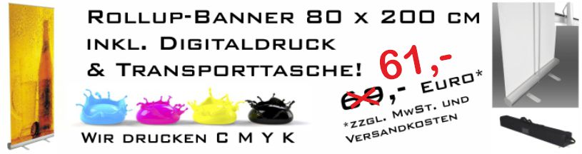 rollup-banner-wshannemann.jpg